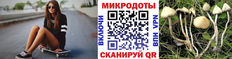 Псилоцибиновые грибы MAGIC MUSHROOMS  Купить  Островной 
